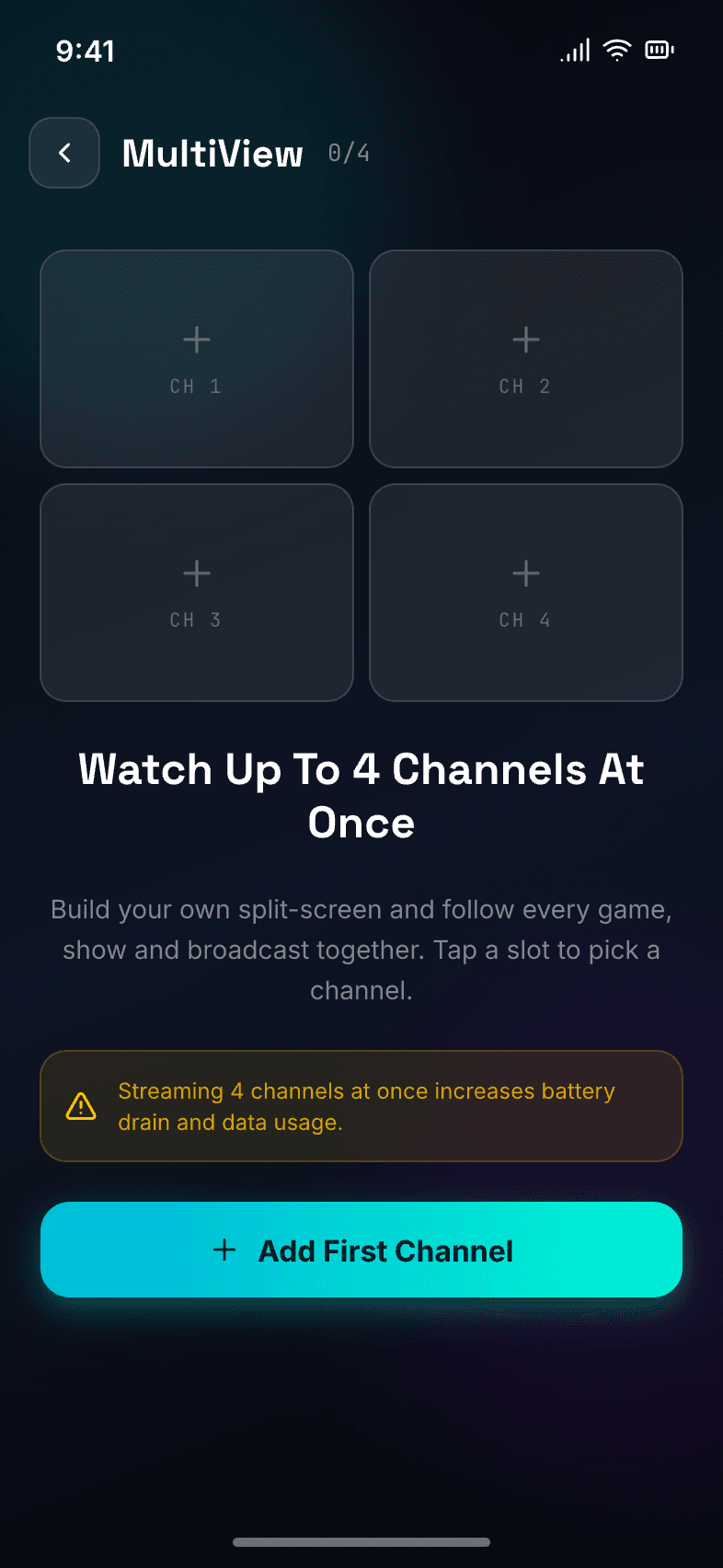 MultiView setup screen